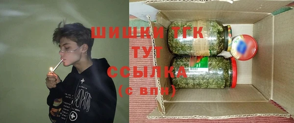 дживик Горняк