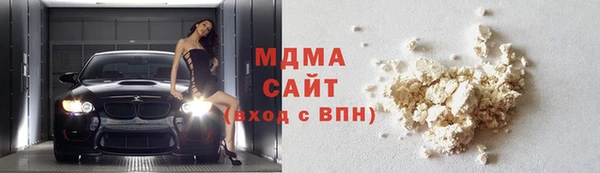 прущие грибы Вязьма