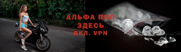 дживик Горняк