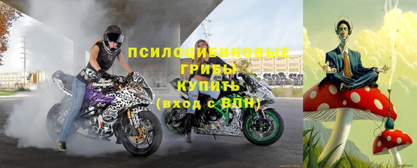 дживик Горняк